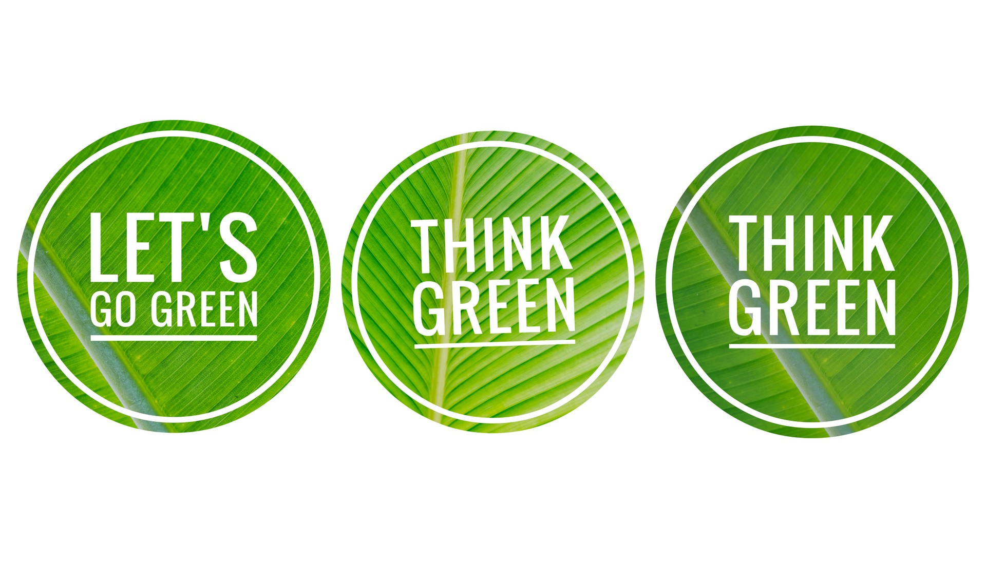 Green logo with green leaf texture background